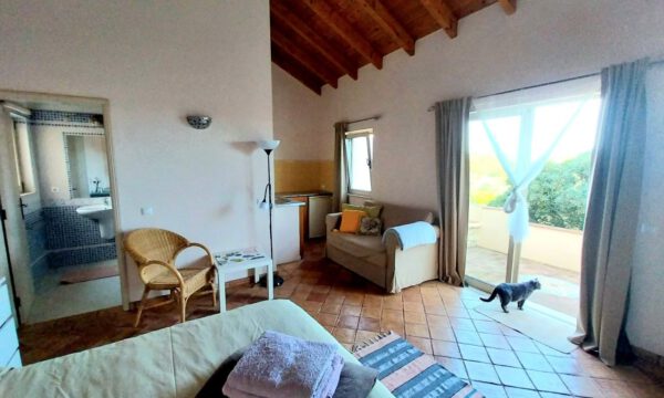 Studio - with kitchen & terace Studio - with kitchen & terace