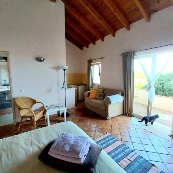 Studio - with kitchen & terace Studio