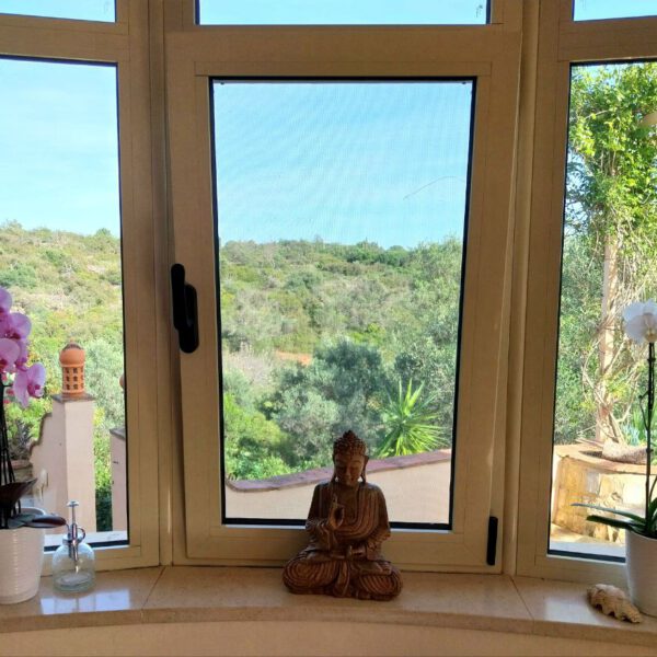 photo_2025-02-09_17-25-53 photo_2025-02-09_17-25-53