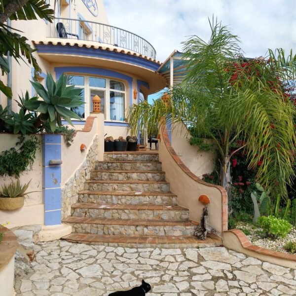 photo_2025-02-09_17-28-14 photo_2025-02-09_17-28-14